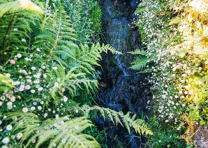 Casa de Férias Montanhas Do Xisto - Solar Do Xisto Poente Candal (Lousa)